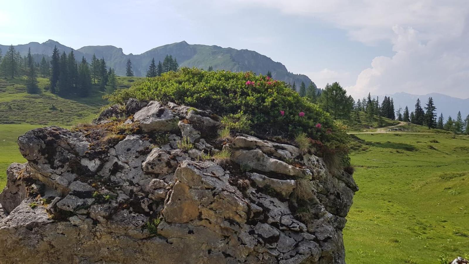 Appartementhaus Goldnugget Schwarzach im Pongau Ngoại thất bức ảnh