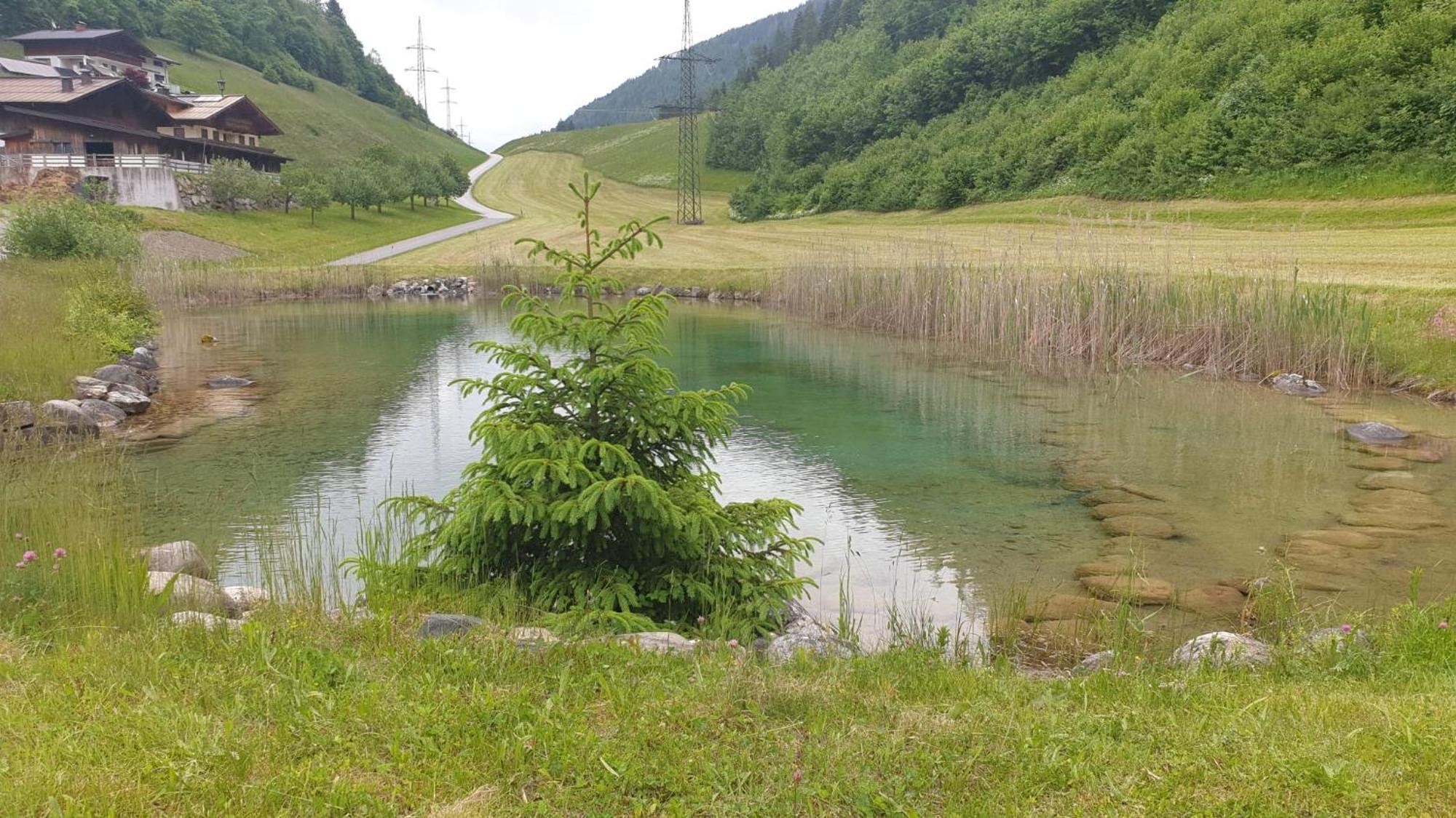 Appartementhaus Goldnugget Schwarzach im Pongau Ngoại thất bức ảnh